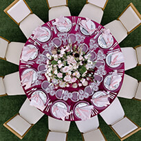 Thumbnail Image of Alexia and Jake Wedding 6