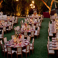 Thumbnail Image of Alexia and Jake Wedding 9