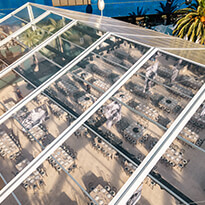 Thumbnail Image of Baby2Baby Event 2