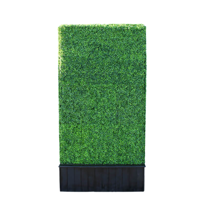 Image of Green Hedge 4'x8'