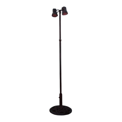 Image of Pole Light 2 Par 38