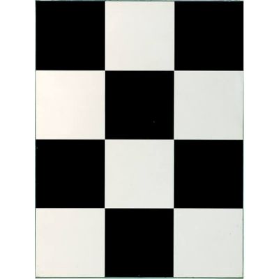 Image of Black & White Checker Dance Floors