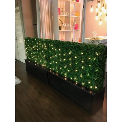 Image of Green Hedge 42'X4'