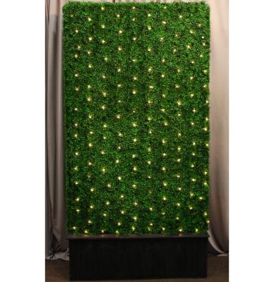 Image two of Green Hedge 4'x8'